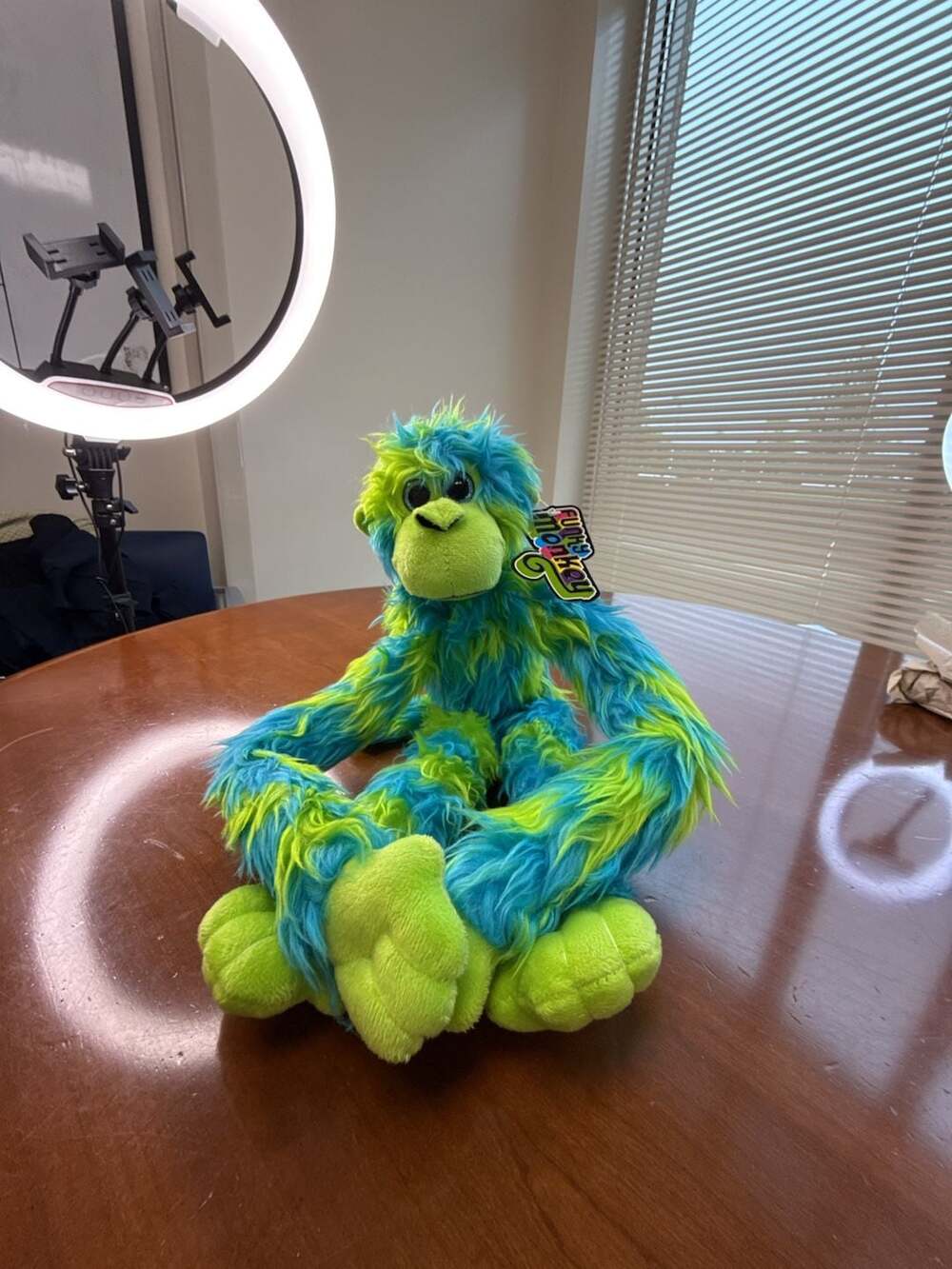 Funky Monkey Blue and Green Shaggy Plush Stuffed Animal Toy